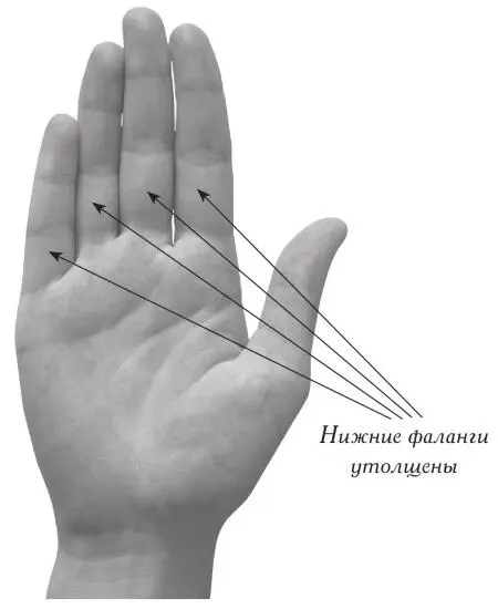 Кулинар Профессии связанные с религиозной деятельностью священник На холме - фото 217