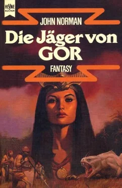 John Norman Die Jäger von Gor обложка книги