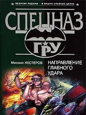 Михаил Нестеров Направление главного удара обложка книги