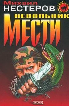 Михаил Нестеров Невольник мести обложка книги