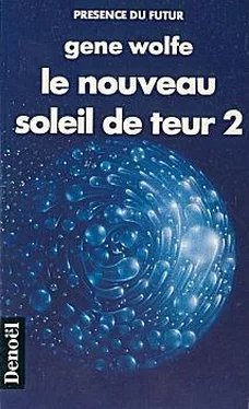 Gene Wolfe Le Nouveau Soleil de Teur. Livre 2 обложка книги