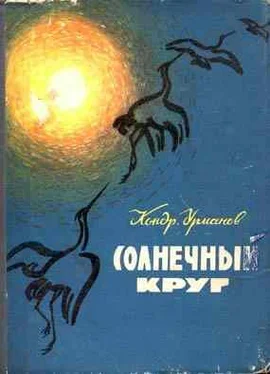 Кондратий Урманов Солнечный круг обложка книги