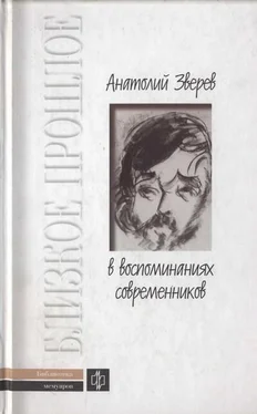 Анатолий Зверев Анатолий Зверев в воспоминаниях современников обложка книги