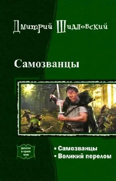 Дмитрий Шидловский Самозванцы обложка книги