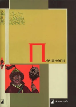 Василий Васильевский Печенеги обложка книги