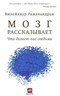 Вилейанур Рамачандран Мозг рассказывает. Что делает нас людьми обложка книги