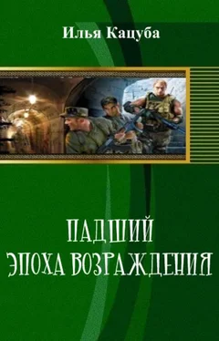 Илья Кацуба Падший. Эпоха возрождения обложка книги