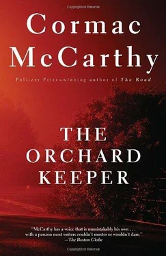 Cormac McCarthy The Orchard Keeper обложка книги