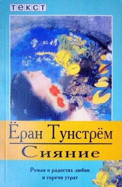 Ёран Тунстрём Сияние обложка книги