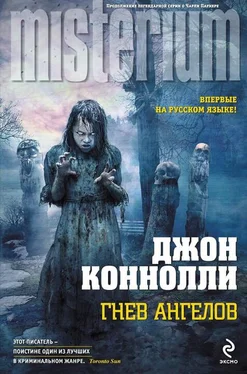 Джон Коннолли Гнев ангелов обложка книги