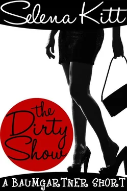 Selena Kitt The Dirty Show обложка книги