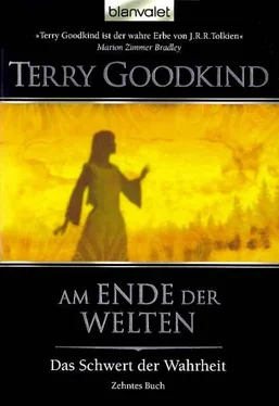 Terry Goodkind Am Ende der Welten обложка книги