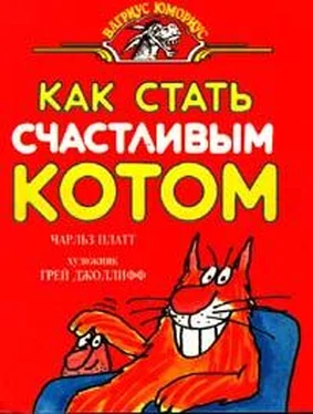 Чарлз Плэтт Как стать счастливым котом обложка книги