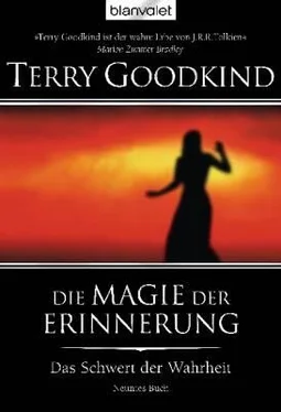 Terry Goodkind Die Magie der Erinnerung обложка книги