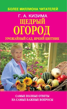 Галина Кизима Щедрый огород, урожайный сад, яркий цветник: самые полные ответы на самые важные вопросы обложка книги