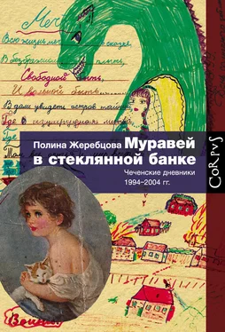 Полина Жеребцова Муравей в стеклянной банке. Чеченские дневники 1994–2004 гг. обложка книги