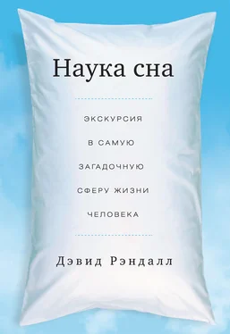 Дэвид Рэндалл Наука сна. Экскурсия в самую загадочную сферу жизни человека обложка книги