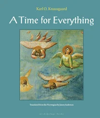 Karl Knausgaard - A Time for Everything