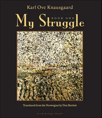 Karl Knausgaard - My Struggle - Book One
