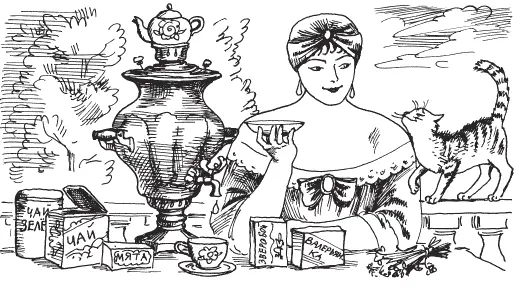 Родина чая Китай Первое упоминание о чайном растении встречается в I в н - фото 1