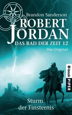 Robert Jordan Sturm der Finsternis обложка книги