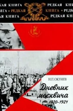 Николай Окунев Дневник москвича. 1920–1924. Книга 2 обложка книги