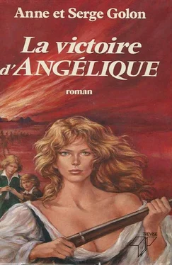 Anne Golon La victoire d'Angélique обложка книги