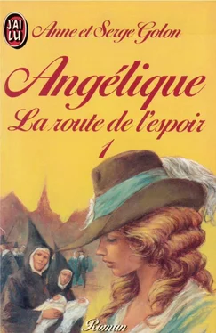 Anne Golon La route de l'espoir 1 обложка книги