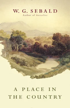 Winfried Sebald A Place in the Country обложка книги