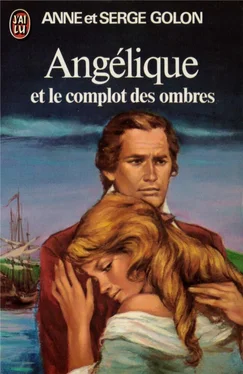 Anne Golon Angélique et le complot des ombres обложка книги