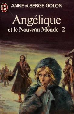 Anne Golon Angélique et le Nouveau Monde Part 2 обложка книги