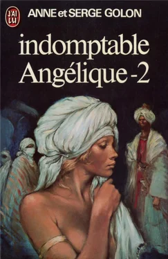 Anne Golon Indomptable Angélique Part 2 обложка книги