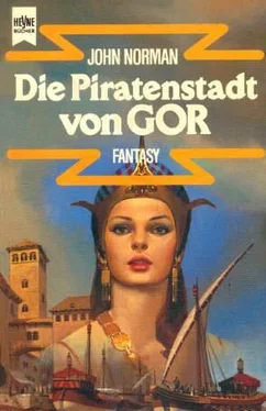 John Norman Die Piratenstadt von Gor обложка книги