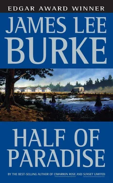James Burke Half of Paradise