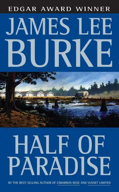 James Burke Half of Paradise обложка книги