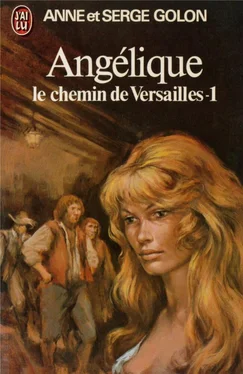 Anne Golon Le chemin de Versailles Part 1 обложка книги