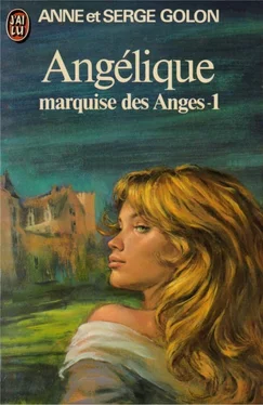 Anne Golon Angélique Marquise des anges Part 1 обложка книги