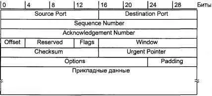 Рис 611 Формат TCPсегмента Положение каждого сегмента в потоке фиксируется - фото 100