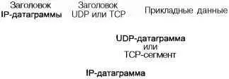 Рис 65 IPдатаграмма Протокол IP обрабатывает каждую датаграмму как - фото 94