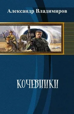 Александр Владимиров Кочевники обложка книги