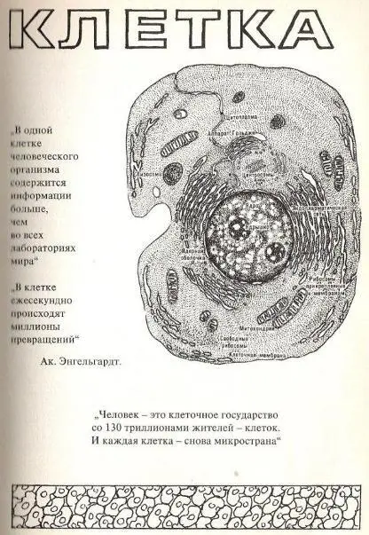 Клетка Если решиться пойти до конца мучительным путем сомнений бесчисленных - фото 3