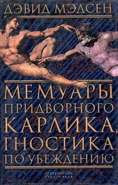 Дэвид Мэдсен Мемуары придворного карлика, гностика по убеждению