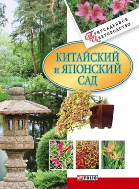 Мария Згурская Китайский и японский сад обложка книги