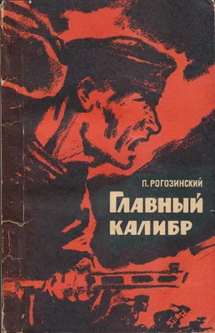 Павел Рогозинский Главный калибр обложка книги