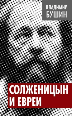 Владимир Бушин Солженицын и евреи обложка книги