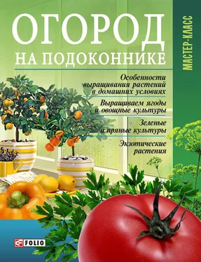 Леонид Онищенко Огород на подоконнике обложка книги