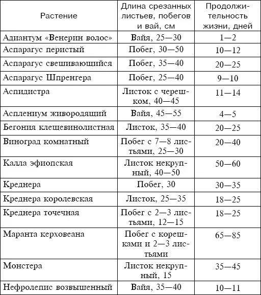 Как правило тепло активизирует все жизненные процессы происходящие в - фото 5