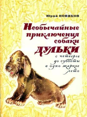 Юрий Новиков Необычайные приключения собаки Дульки с четверга до субботы в одно жаркое лето обложка книги