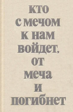 Владимир Мавродин Кто с мечом к нам войдет, от меча и погибнет обложка книги