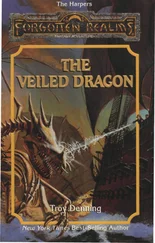 Troy Denning - The Veiled Dragon